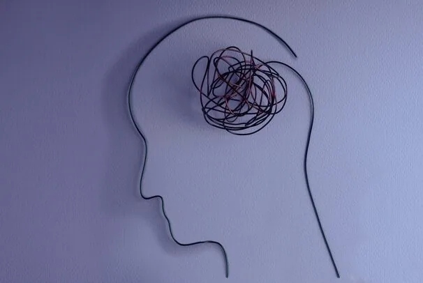 人間の頭と脳を示している様子