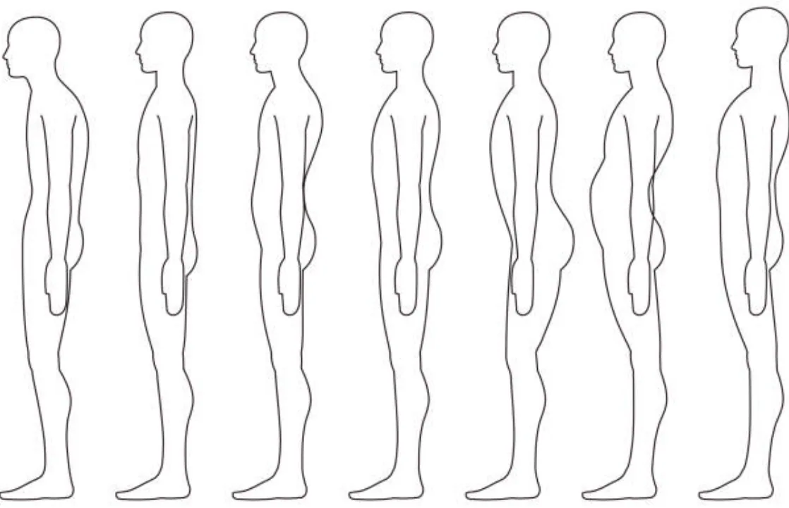 姿勢を表した図