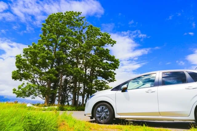 田舎での車の様子
