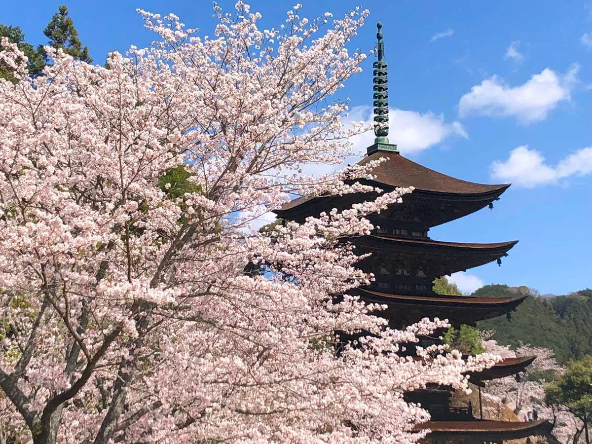 瑠璃光寺の五重塔（山口市）