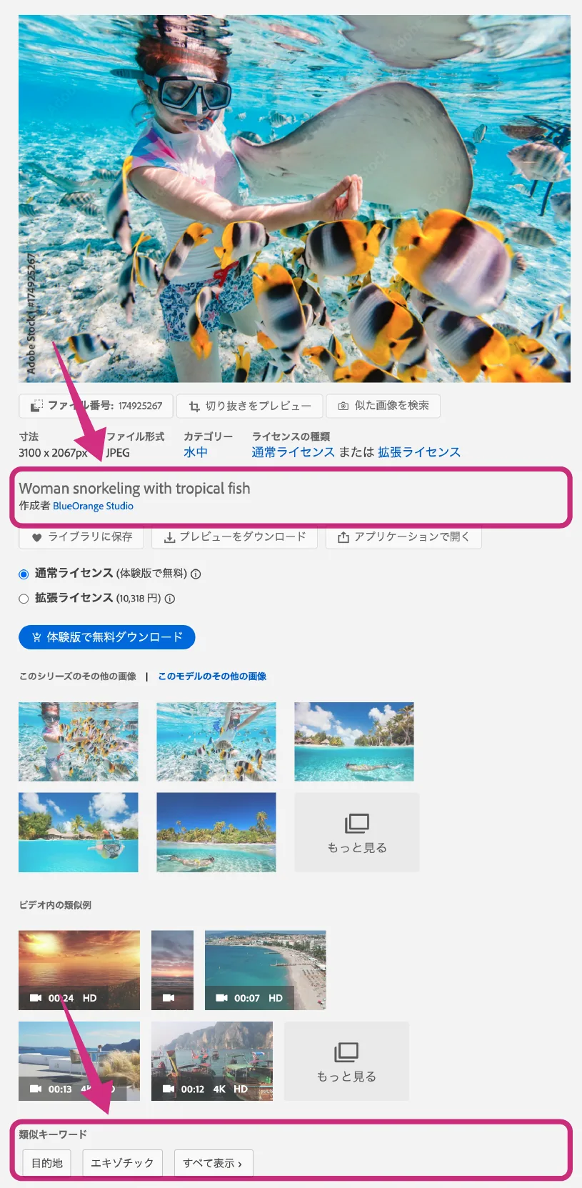 Adobe Firefly