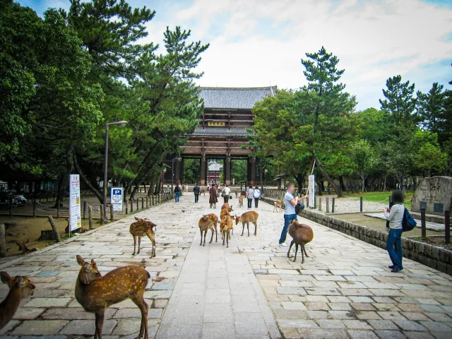 鹿と東大寺