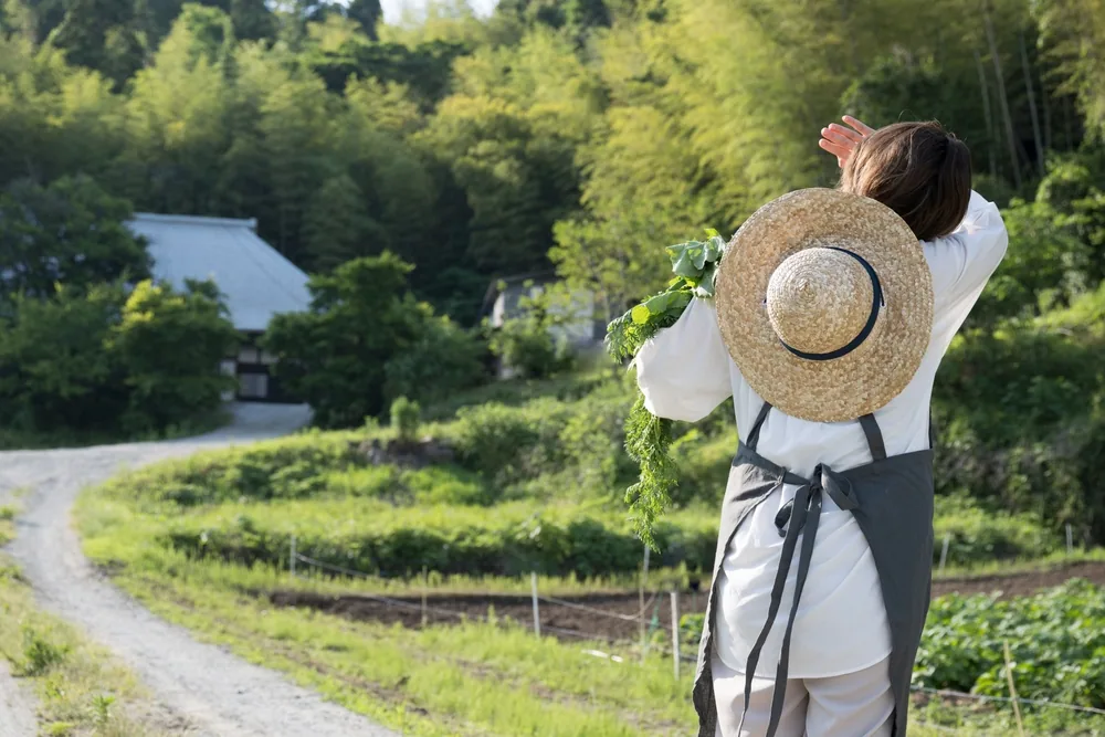 田舎の畑仕事をしていた女性の後ろ姿