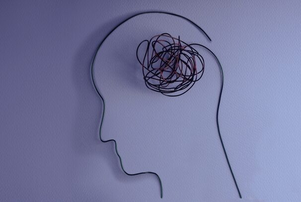 人間の頭と脳を示している様子