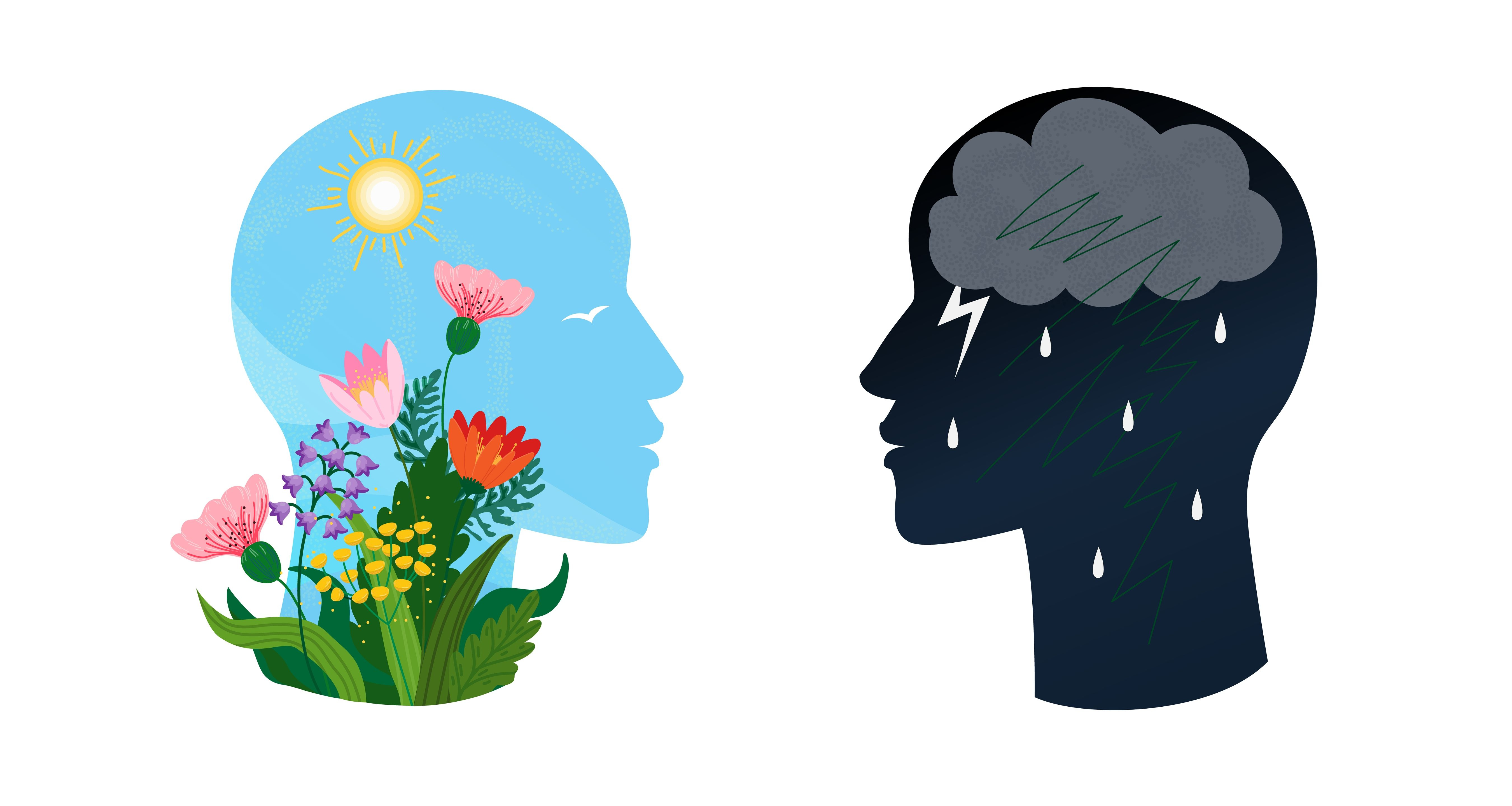 晴れの脳と雨の脳