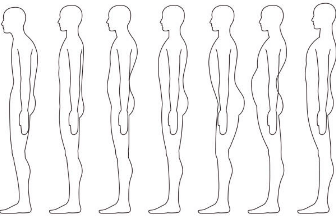 姿勢を表した図