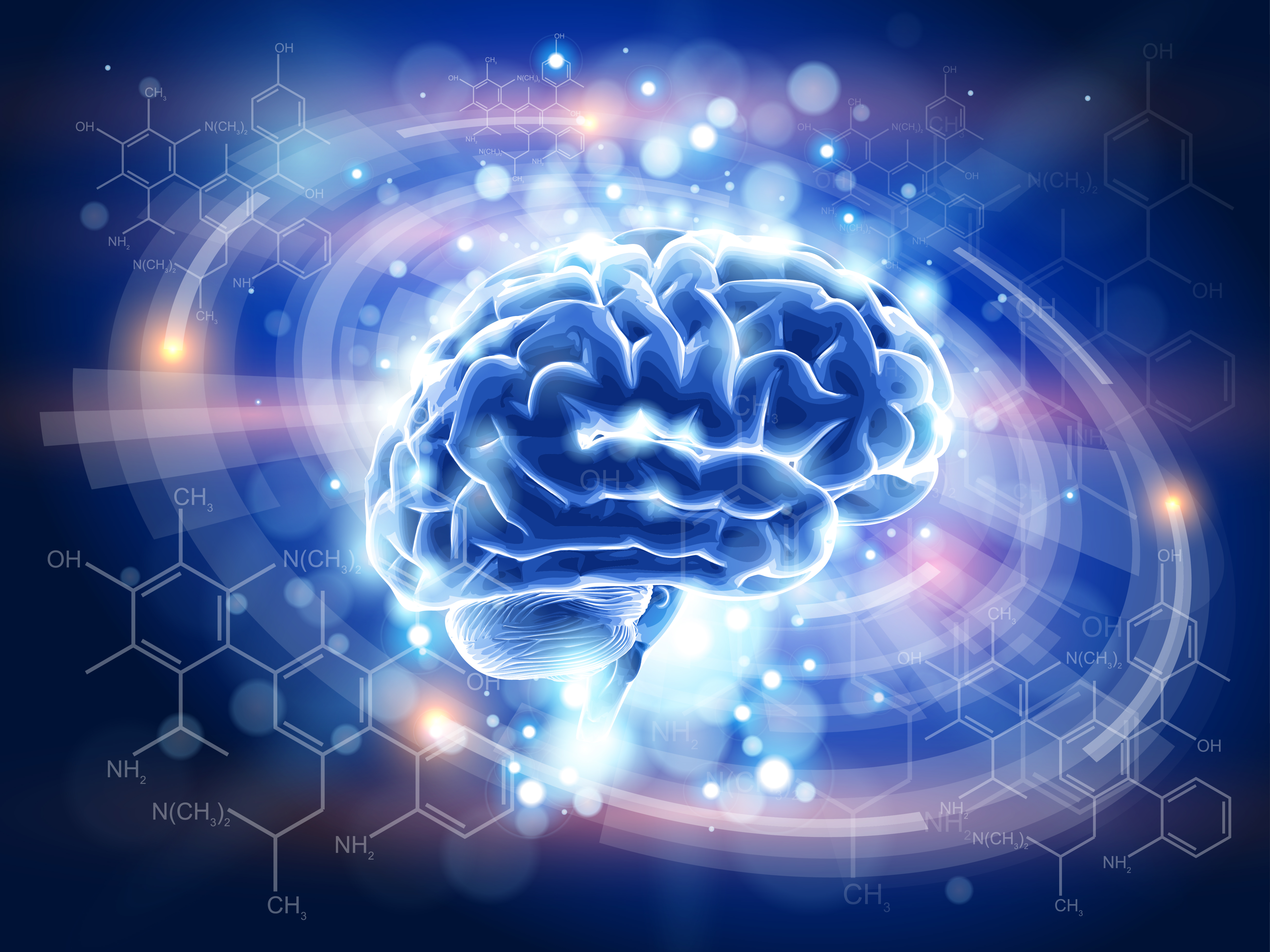 新しい思考回路の脳の図