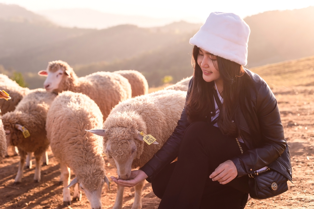 動物占い「ひつじ」の性格や男女の相性、向いている職業をまとめて紹介