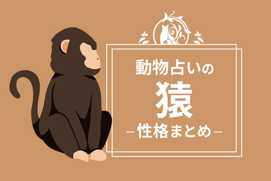 動物占い「猿」の性格や男女の相性、向いている職業をまとめて紹介
