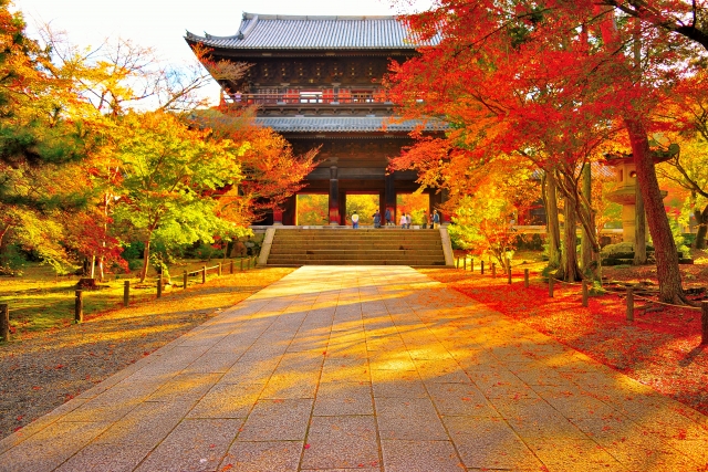 紅葉と京都のお寺
